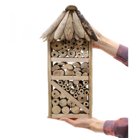 Driftwood Bee & Insect Highrise Box