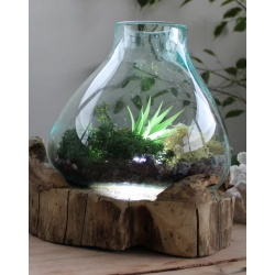 Molten Glass Large Plant/Zen garden bowl  3.7 litre (with light cavity)- 30cm