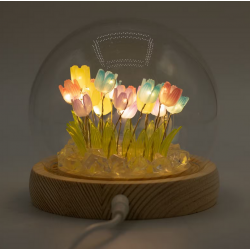 Floral Glow Garden Dome - 20 Multi Tulips - LED USB