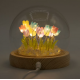 Floral Glow Garden Dome - 20 Multi Tulips - LED USB