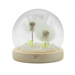 Floral Glow Garden Dome - 2 Dandelions - LED USB