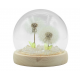 Floral Glow Garden Dome - 2 Dandelions - LED USB