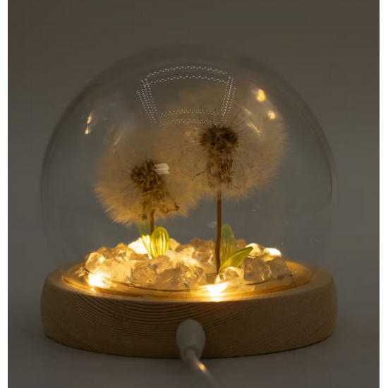 Floral Glow Garden Dome - 2 Dandelions - LED USB