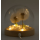 Floral Glow Garden Dome - 2 Dandelions - LED USB