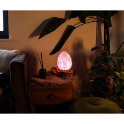 DriftGlow Lamp Crackle Lotus Flower Shade - Purple